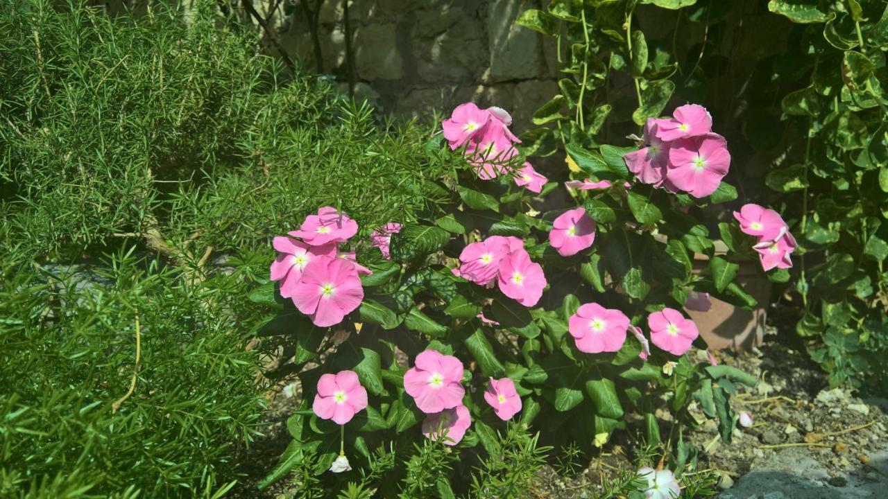 Nanna'S Little Paradise 赫瓦尔 外观 照片